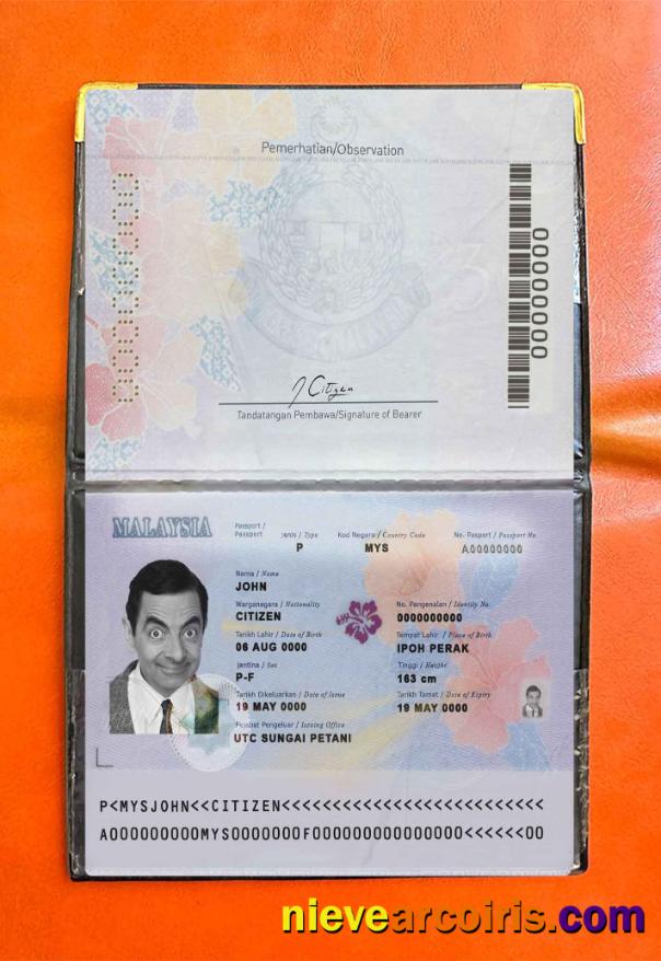 Malaysia passport (2017-present) photolook